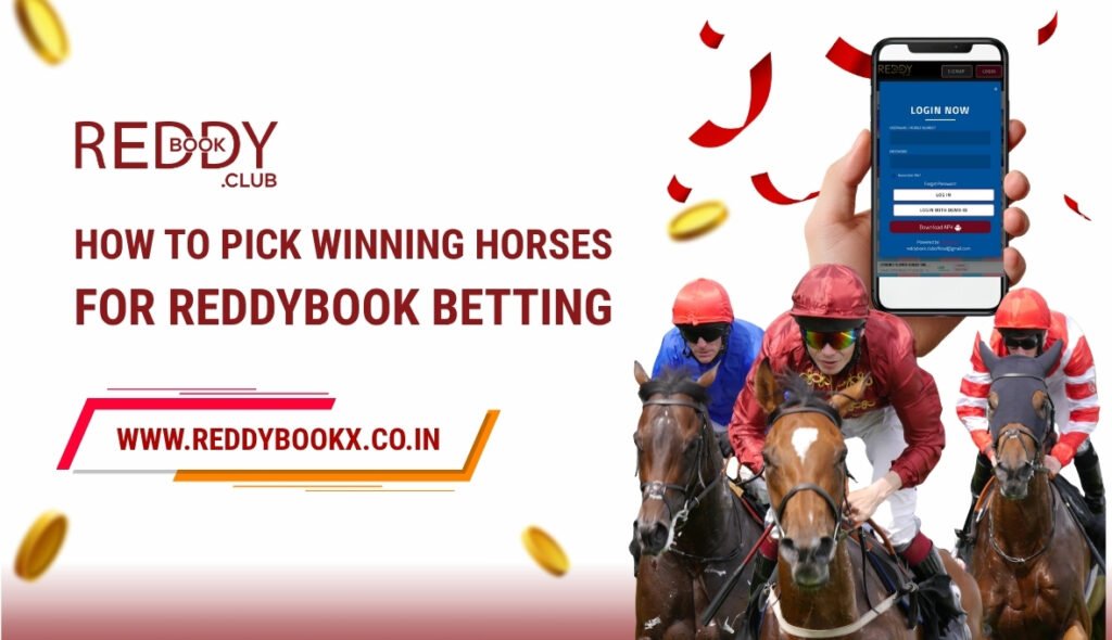 How to Pick Winning Horses for Reddybook Betting