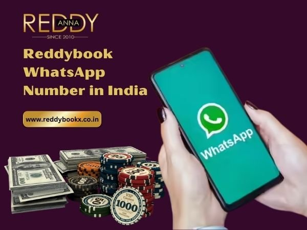 Reddybook WhatsApp Number in India