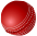 Cricket Icon